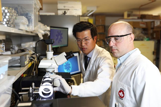 Shuailong Zhang (left) and Aaron Wheeler in a lab