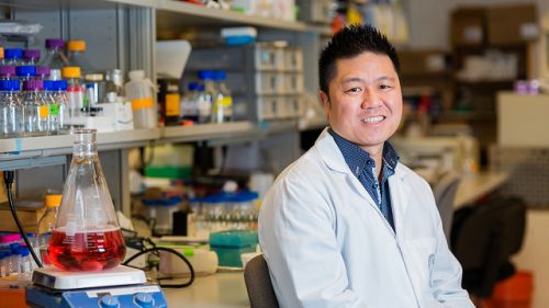 Warren Chan in biomedical lab