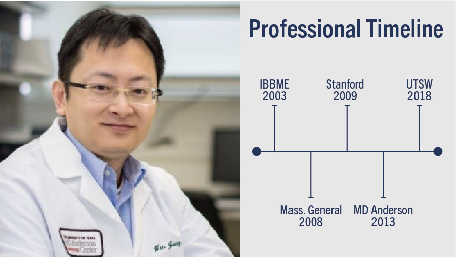 Dr. Wen profesional Timeline banner chart