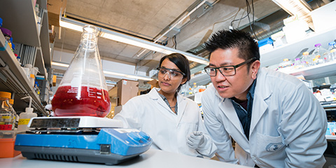 Warren Chan in a lab with a graduate student
