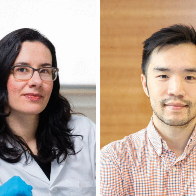 Acceleration Grants Winners 2024