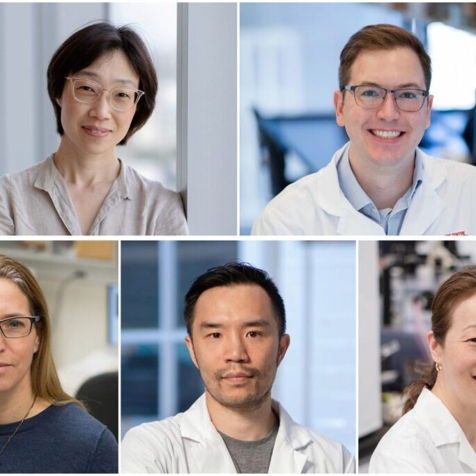 CIHR Funding Spring 2024