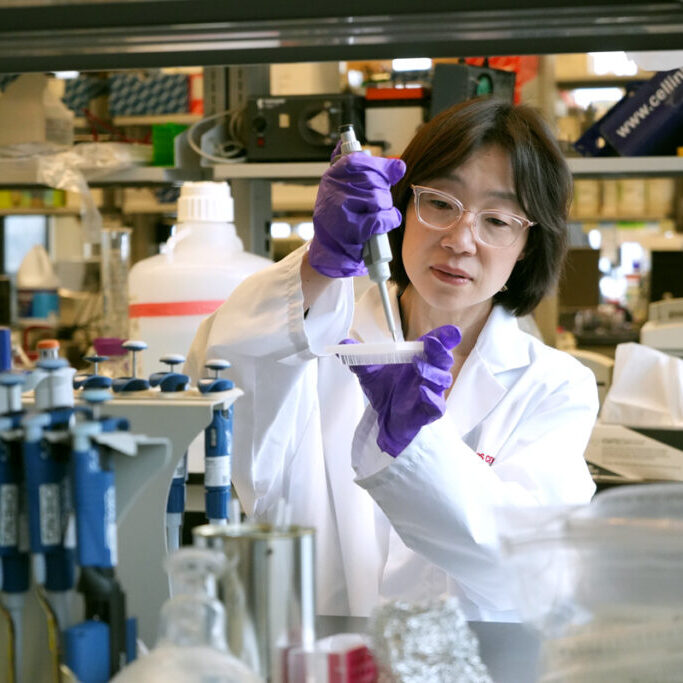 Professor Hai-Ling Cheng, seen here adding media to a 96-well plate, and ECE PhD candidate Alex Mertens have developed a novel method to analyze data acquired from magnetic resonance imaging (MRI). The technique captures high spatial resolution concurrently with temporal resolution, something that has eluded the field for decades. (Photo: Matthew Tierney)