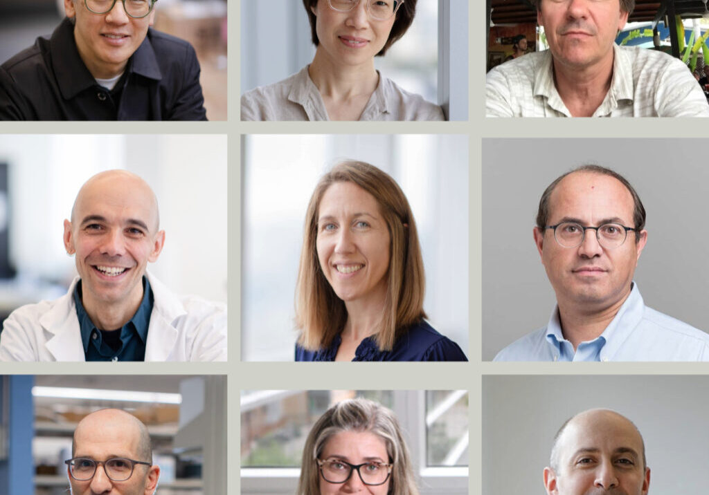 Discovery Grant 2025