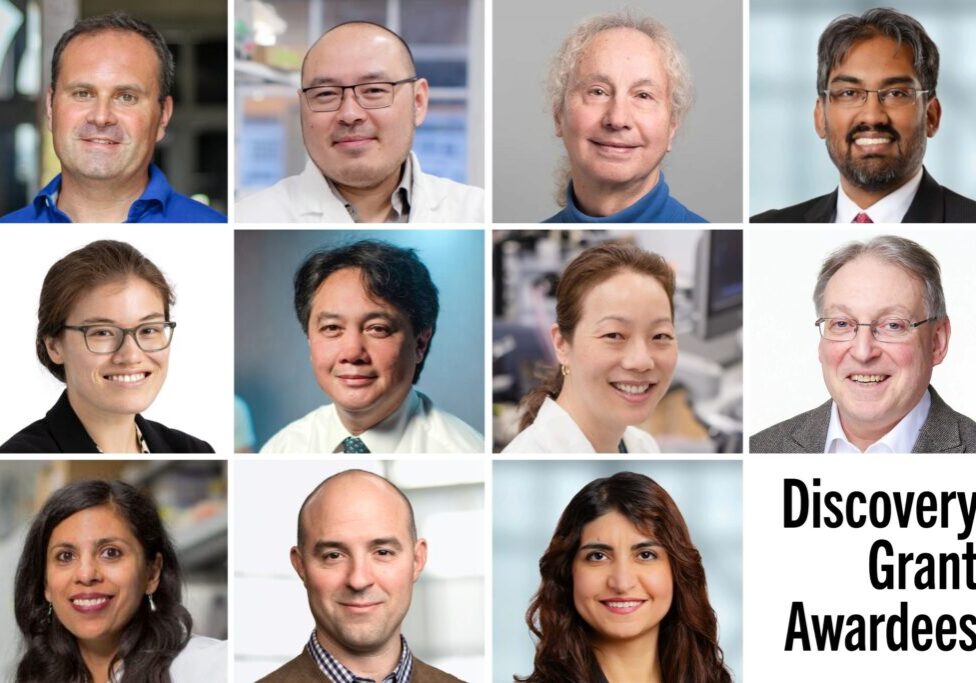 NSERC Discovery Awardees 2024