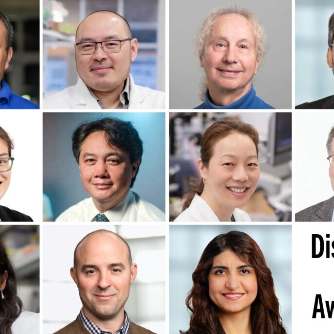 NSERC Discovery Awardees 2024