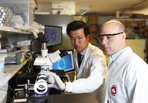 Shuailong Zhang (left) and Aaron Wheeler in a lab